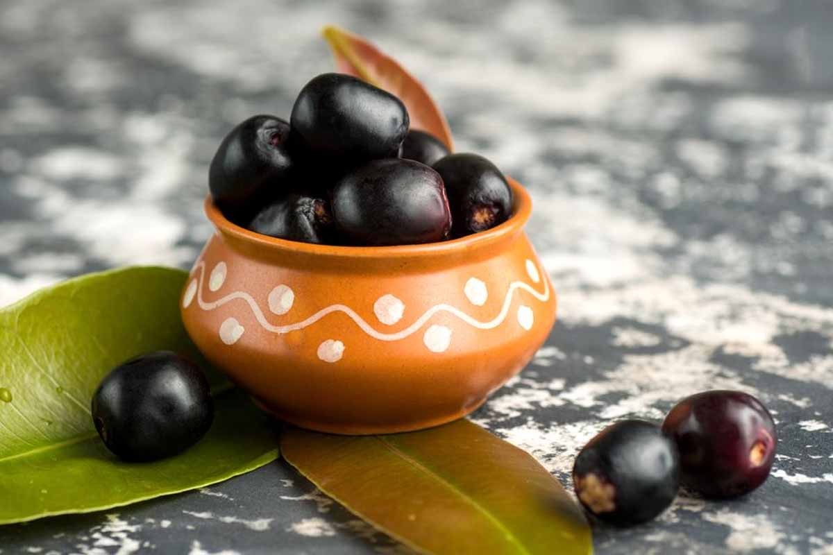 jamun-juice:-बढ़ते-मधुमेह-से-हैं-परेशान-तो-पिएं-जामुन-का-जूस