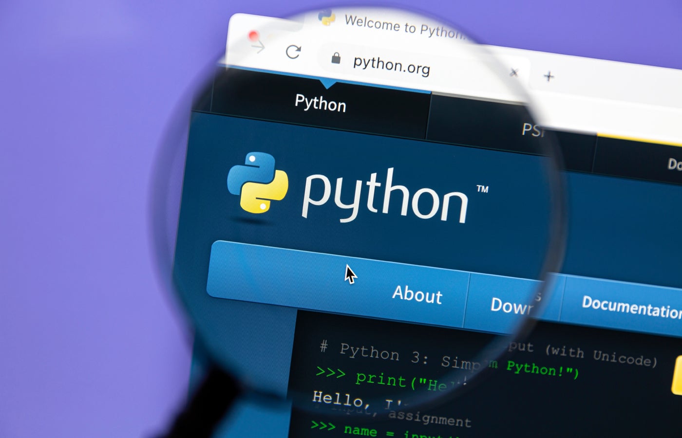 the-10-best-python-courses-in-2024