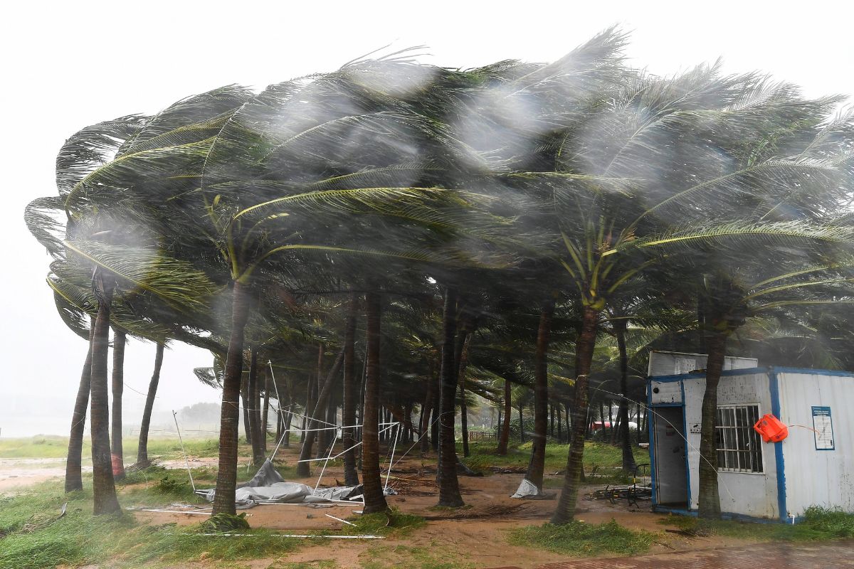 cyclone-tracker:-तूफान-‘यागी’-ने-चीन-और-वियतनाम-में-मचाई-भारी-तबाही,-8-की-मौत