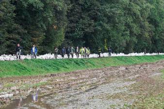 downpours-leave-more-than-250,000-czech-households-without-power